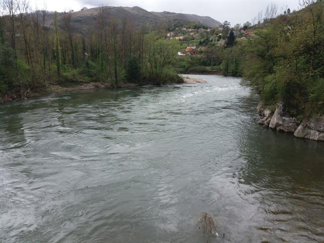 ep rio nalon riosasturias agua