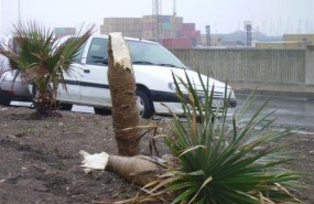 ep viento