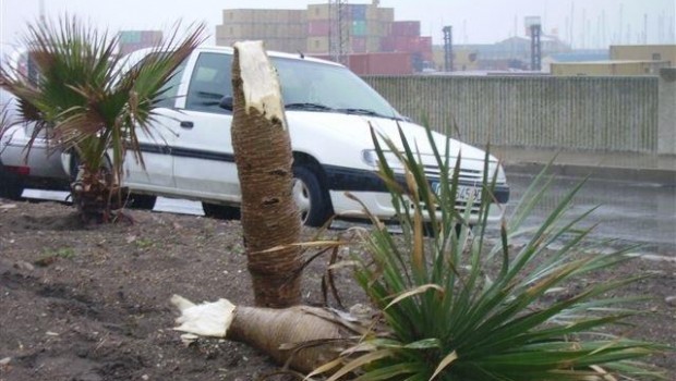 ep viento