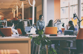 novakid   quiet quitting 