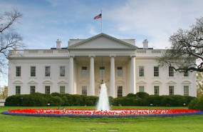 white house