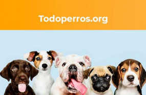 1601822999 comunicae 1601822999 comunicae