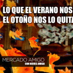 careta mercado amigo otoño careta mercado amigo otoño