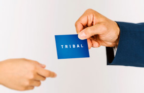 image of the news Tribal Group shares surge as H1 post-tax profits skyrocket