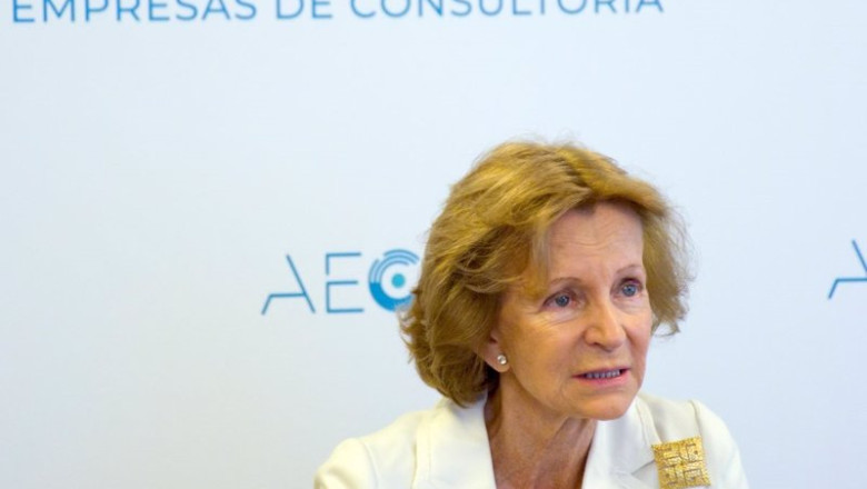 ep archivo elena salgado presidenta de la asociacion espanola de consultoria aec ep archivo elena salgado presidenta de la asociacion espanola de consultoria aec