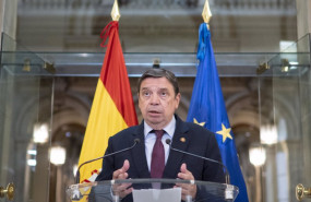 ep el ministro de agricultura pesca y alimentacion luis planas ofrece declaraciones a los medios de