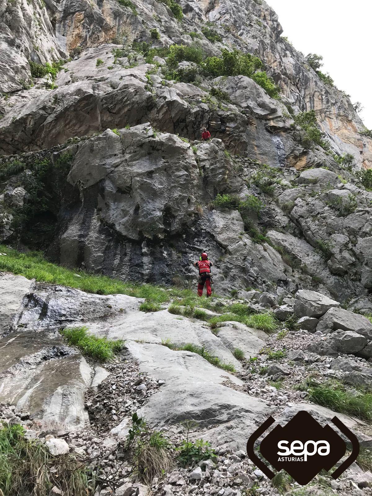 Imagen del rescate. | SEPA. ep imagenrescate