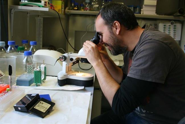 El investigador del CSIC Felipe Cortés | EUROPA PRESS/UNIVERSIDAD DE SEVILLA ep investigadorcsic felipe cortes