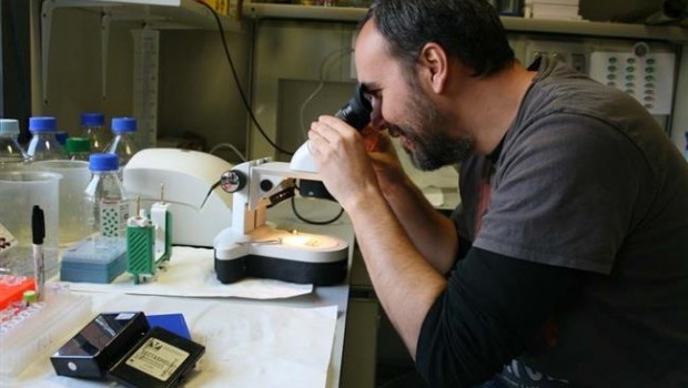 ep investigadorcsic felipe cortes