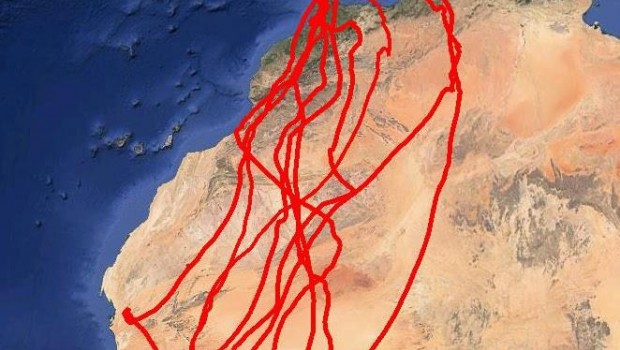 ep rutalos cernicalos primillaespana hasta africa subsahariana