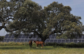 ep statkraft obtiene la autorizacion ambiental para dos proyectos solares en extremadura que suman