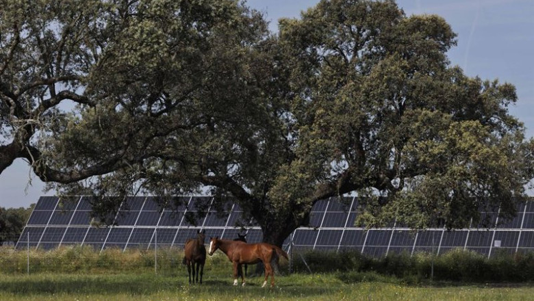 Statkraft obtiene la autorización ambiental para dos proyectos solares en Extremadura que suman 205 MW | STATKRAFT ep statkraft obtiene la autorizacion ambiental para dos proyectos solares en extremadura que suman