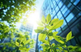 shutterstock 2610083145 1 