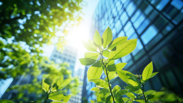 shutterstock 2610083145 1 