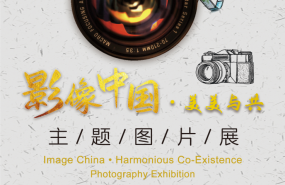 x 20230324160619 x 20230324160619