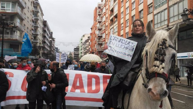 ep cabecera de la manifestacion convocada por asturias ganadera