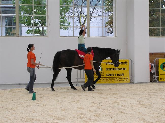 ep equinoterapia terapiasanimales