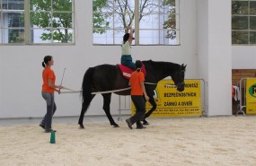 ep equinoterapia terapiasanimales