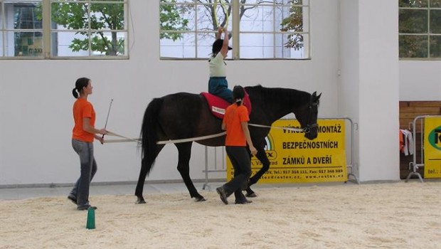 ep equinoterapia terapiasanimales