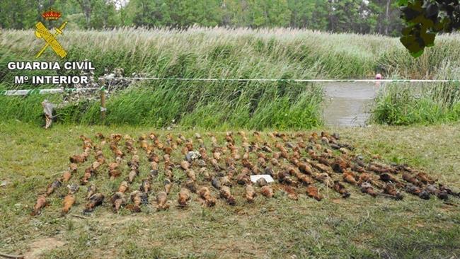 Fwd: La Guardia Civil Encuentra, Sumergido En Un Acuífero De Teruel, Un Arsenal | EUROPA PRESS ep fwd la guardia civil encuentra sumergidoun acuiferoteruel un arsenal