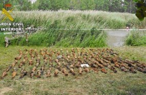 ep fwd la guardia civil encuentra sumergidoun acuiferoteruel un arsenal