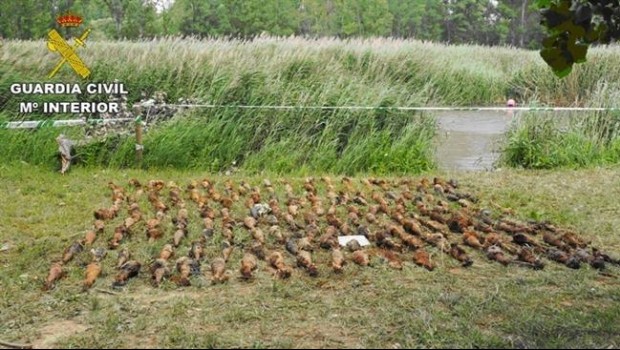 ep fwd la guardia civil encuentra sumergidoun acuiferoteruel un arsenal