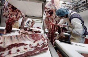 ep imagenla cadenaproduccionmiguel vergara