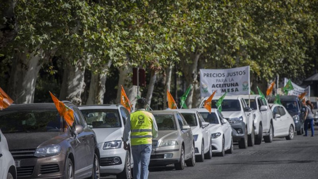 ep manifestacion upa andalucia de los agricultores ante los bajos precios de la aceituna de mesa