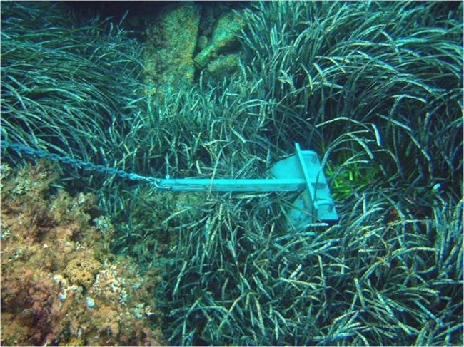 Posidonia, fondeo | GOB - Archivo ep posidonia fondeo