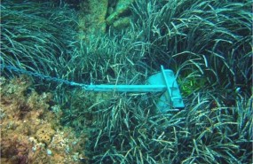ep posidonia fondeo