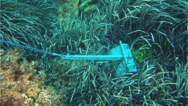 ep posidonia fondeo