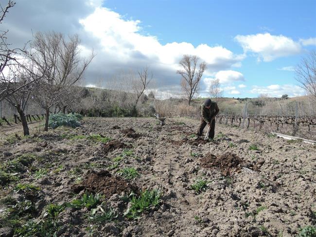 ep trabajador agrario trabajo agrario cultivar cultivo cultivando cultivos