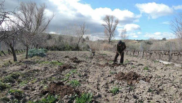 ep trabajador agrario trabajo agrario cultivar cultivo cultivando cultivos