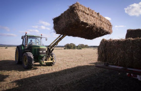 ep un tractor durante la recogida de trigo ep un tractor durante la recogida de trigo