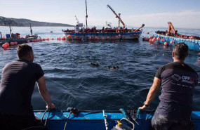 ep varios pescadores durante una levanta del atun de una de las almadrabas de opp51