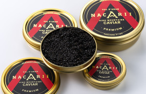 nacarii premium 20240212122601 nacarii premium 20240212122601