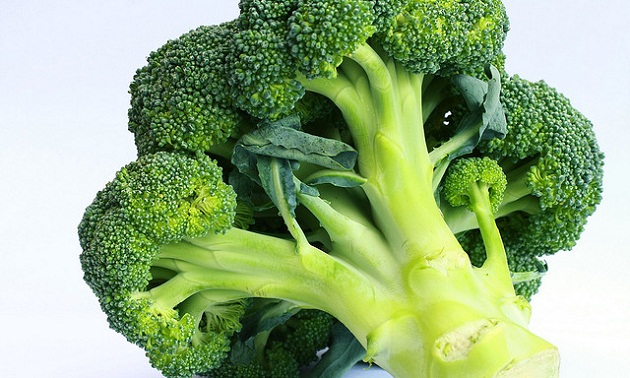 brocoli_630