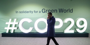 cop29 image temoin 