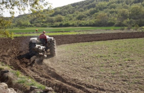 ep agricultores 20250205132003