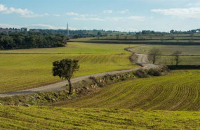 ep archivo   explotaciones agricolas