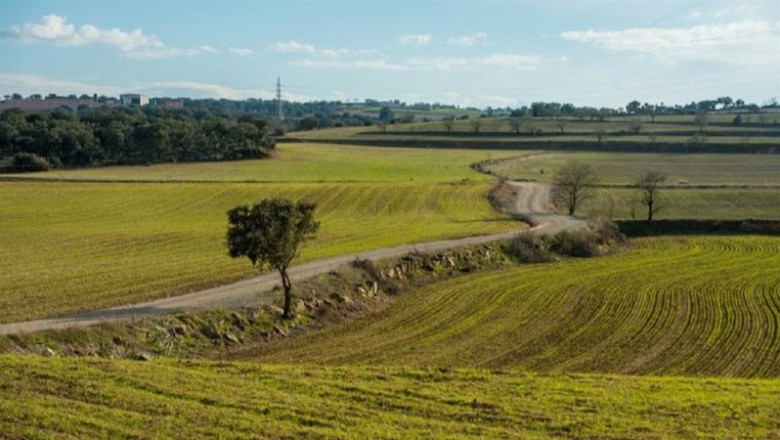 ep archivo   explotaciones agricolas