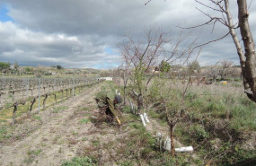 ep archivo   trabajador agrario