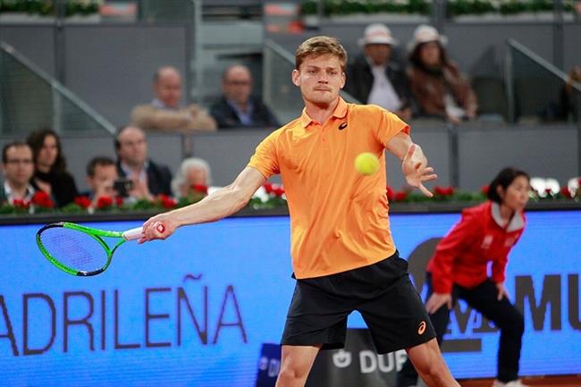 ep david goffin