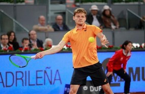ep david goffin