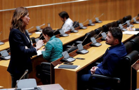 ep el portavoz de erc en el congreso gabriel rufian durante la intervencion del ministro de sanidad