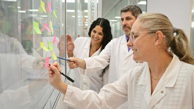 Esta iniciativa, que celebra su 41 edición, implica a los empleados de manera activa en las propuestas de avance y mejora en la compañía | GRUPO FUERTES ep esta iniciativa que celebra su 41 edicion implica a los empleados de manera activa en las