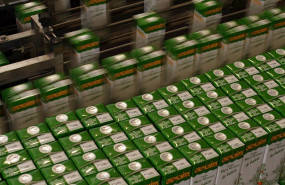 ep fabrica de envases de leche trabajadores de la industria lactea cartones de leche