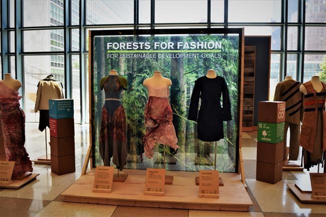 Forests for fashion | PEFC ep forests for fashion
