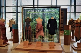 ep forests for fashion
