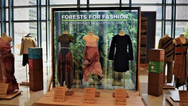 ep forests for fashion